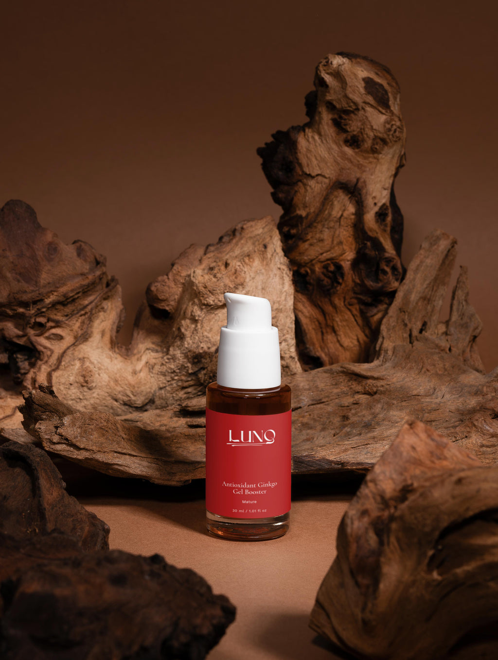 Antioxidant Ginkgo Gel Booster