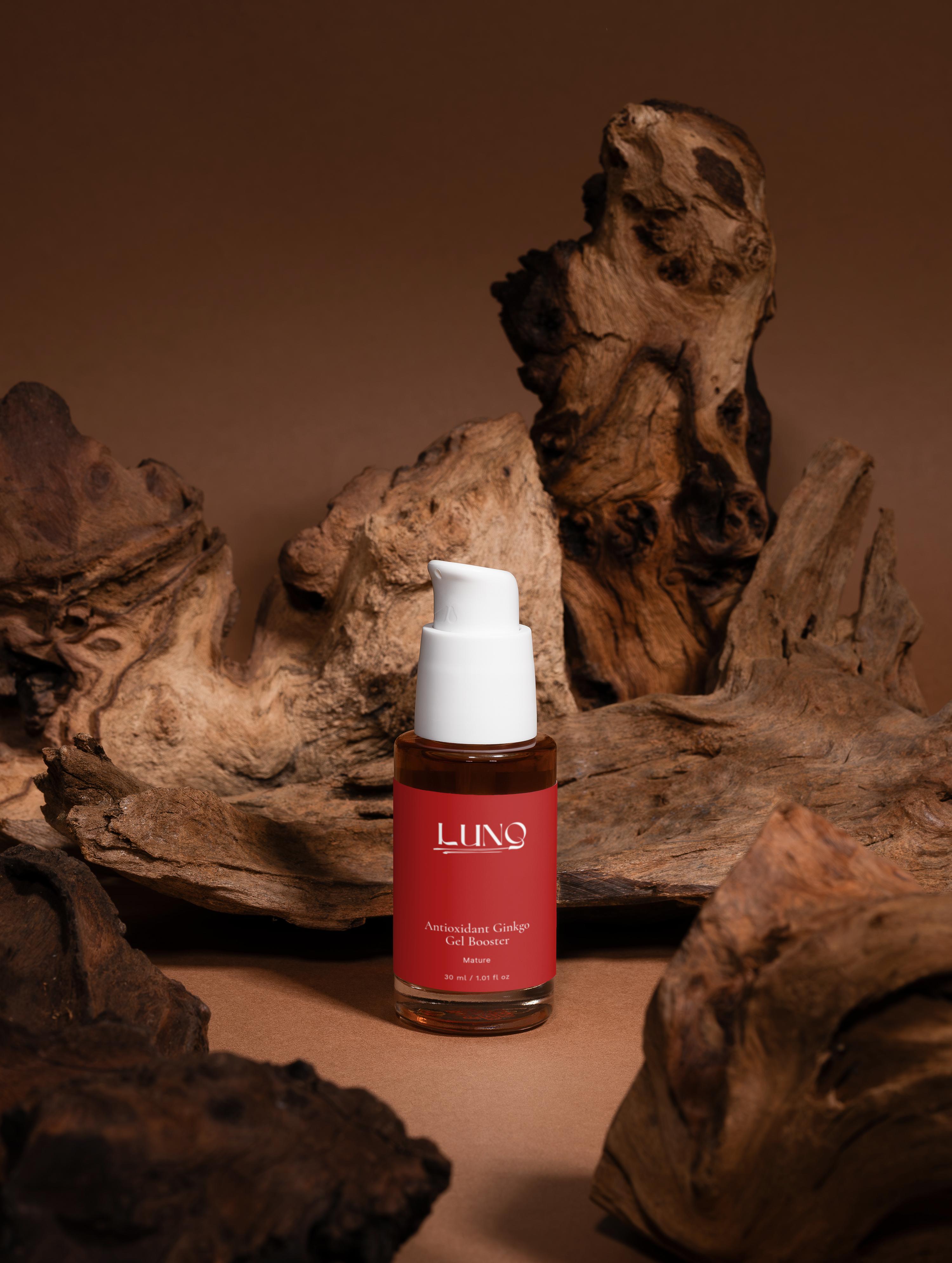 Antioxidant Ginkgo Gel Booster